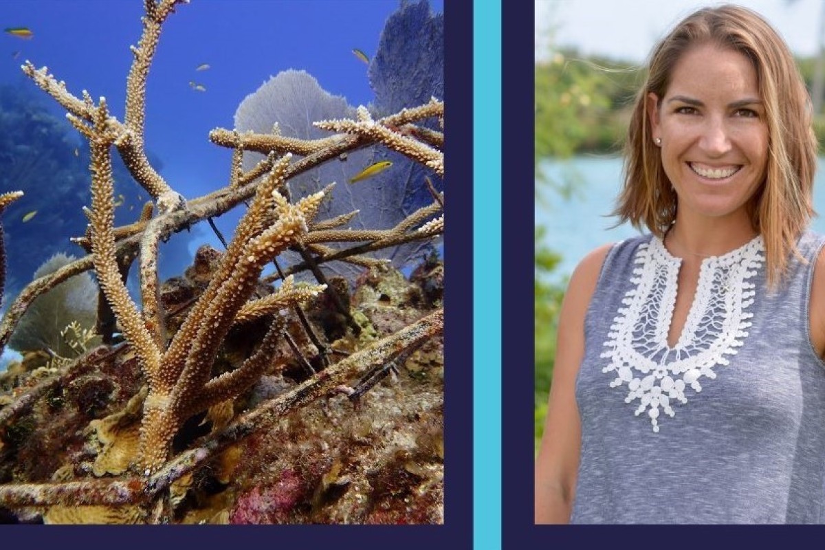 CCMI Reef Lecture Series: Protecting the Future of Cayman’s Coral Reefs through Resilience and Restoration