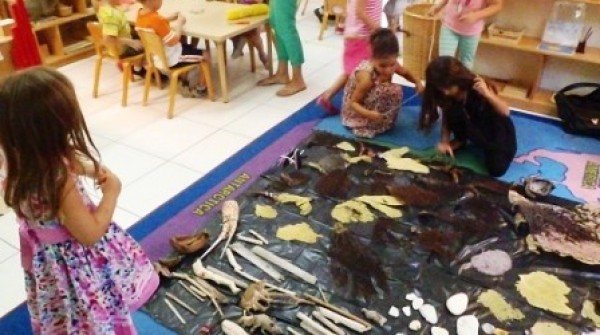 Weave the Reef – Art Workshop for Families