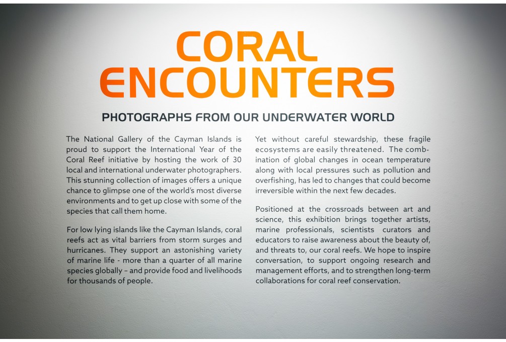 Coral Encounters