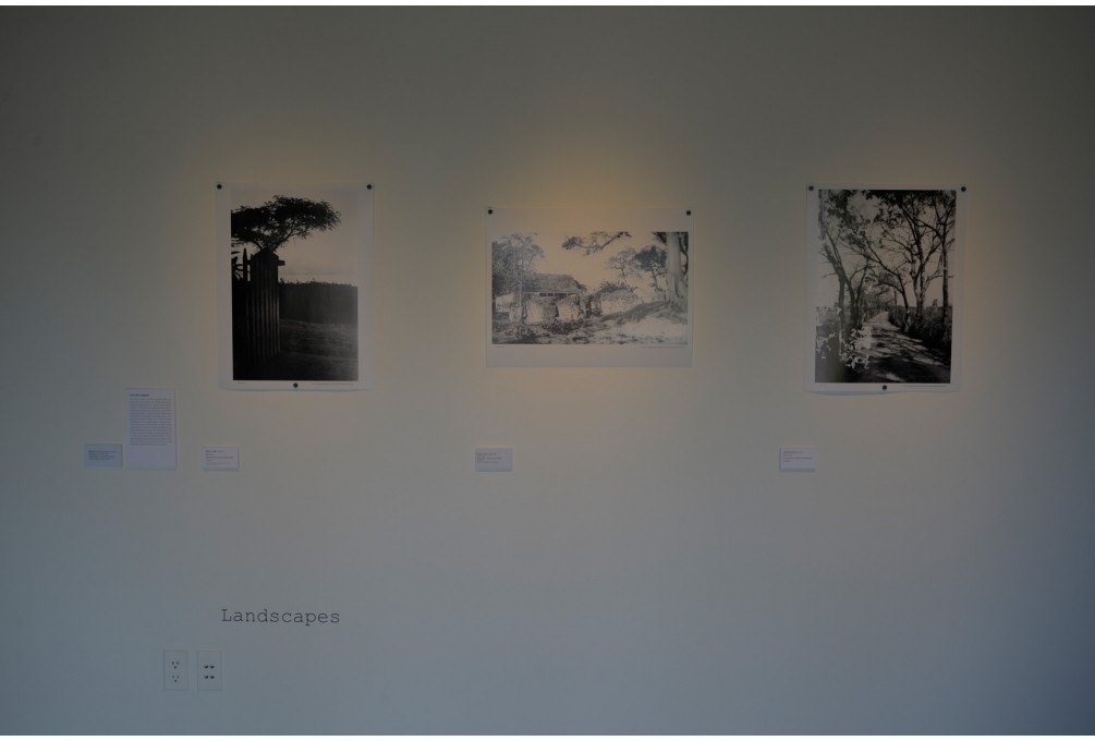 The Photographer is Present: Select photographs from the collection of Ella Latter