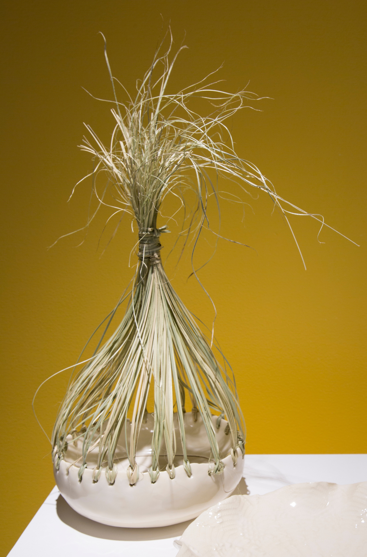 Silver Thatch Rope & Ecology - National Gallery of the Cayman Islands