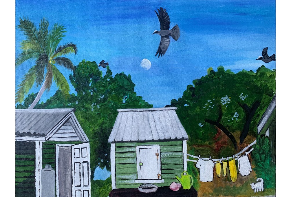 Art Under Lockdown – Little Cayman