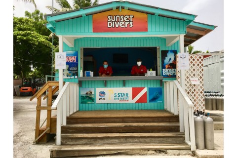 Diving is Open!, April-July 2020