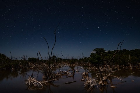 Sebastien Nehme – Tarpon Lake, Little Cayman Under the Stars, 2021