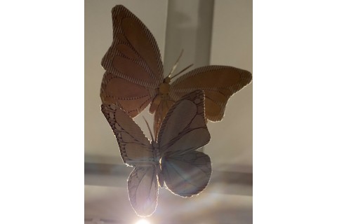 Hannah Bodden – Blue Palos Butterfly
