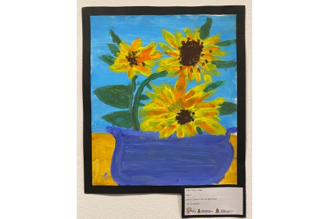 Ruarc Colgan – Sunflowers