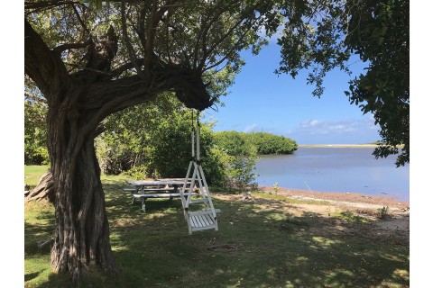 Faye Lippitt – Swing Time on the Brac, c.2021