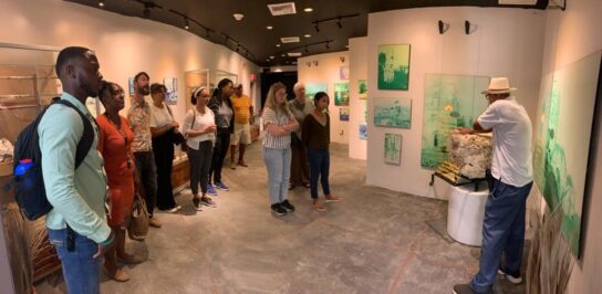 Caribbean Art History Training (15)