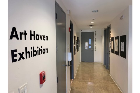 Art Haven 2024 installation view