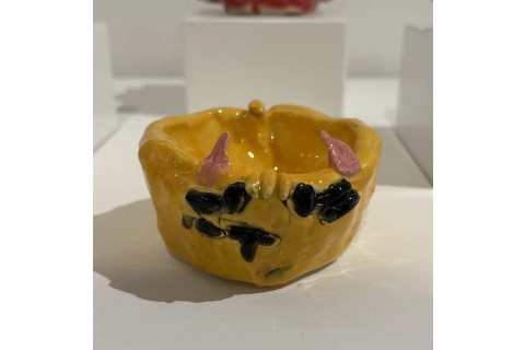 Milan Reijn, Foundation