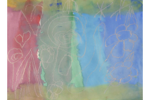 Penelope Anderson, Foundation