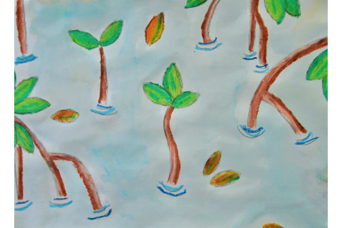 Scarlett Ebanks, Primary